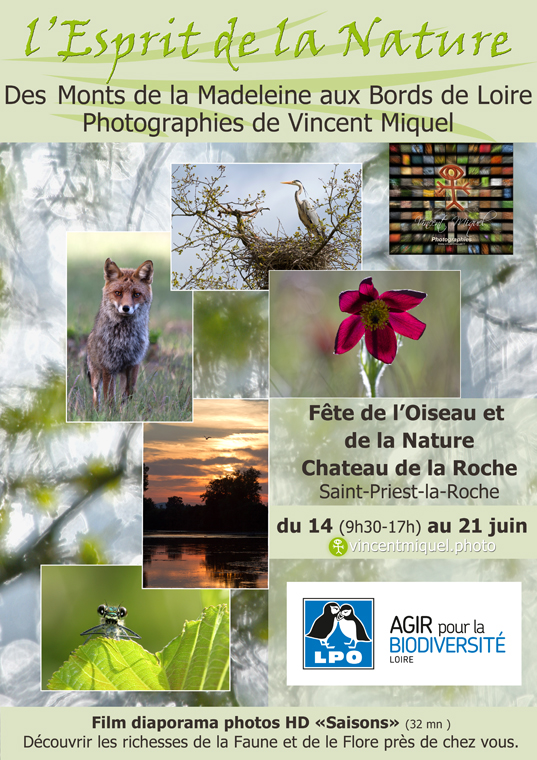 Exposition photos 2015