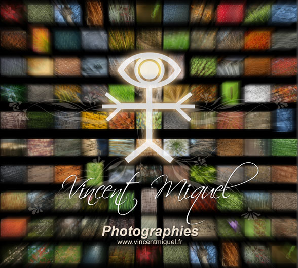 Vincent Miquel Photographie Nature
